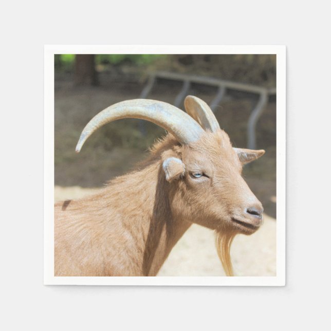 Goat Napkin (Front)