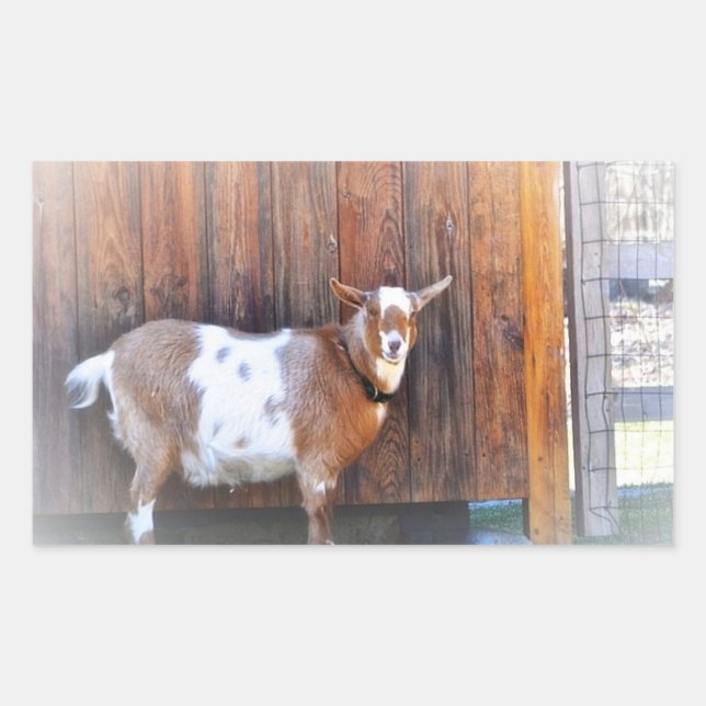 Goat On The Farm Sticker (Front)