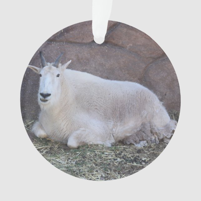 Goat Ornament (Front)