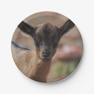 Goat Paper Plate