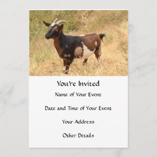 Goat Picture Invitation