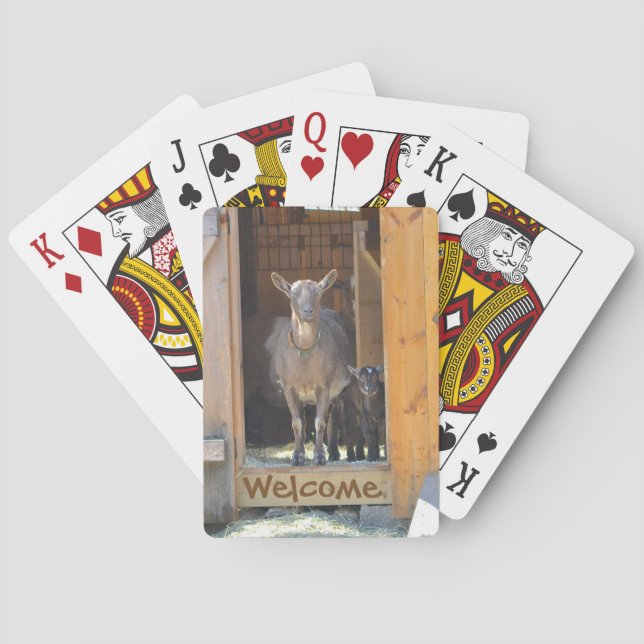 Goat Playing Cards (Back)