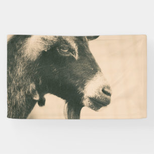 Goat Profile Banner
