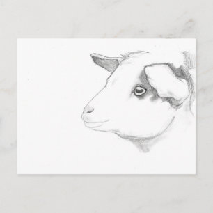 Goat profile postcard by Nicole Janes