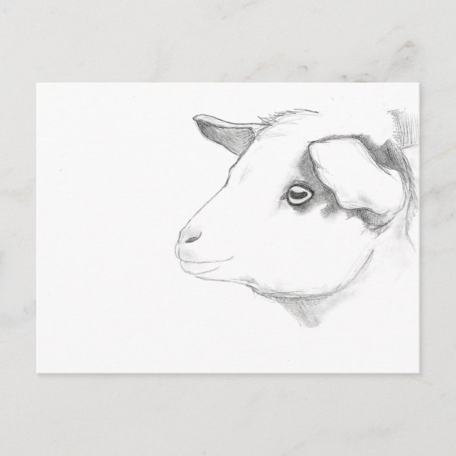 Goat profile postcard by Nicole Janes (Front)