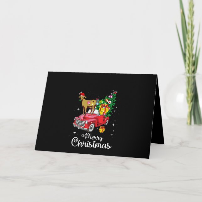 Goat Rides Red Car Christmas Card (Front)
