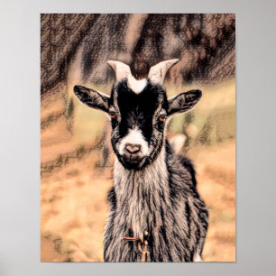 Goat Rustic Vintage Country Farm Animal Poster
