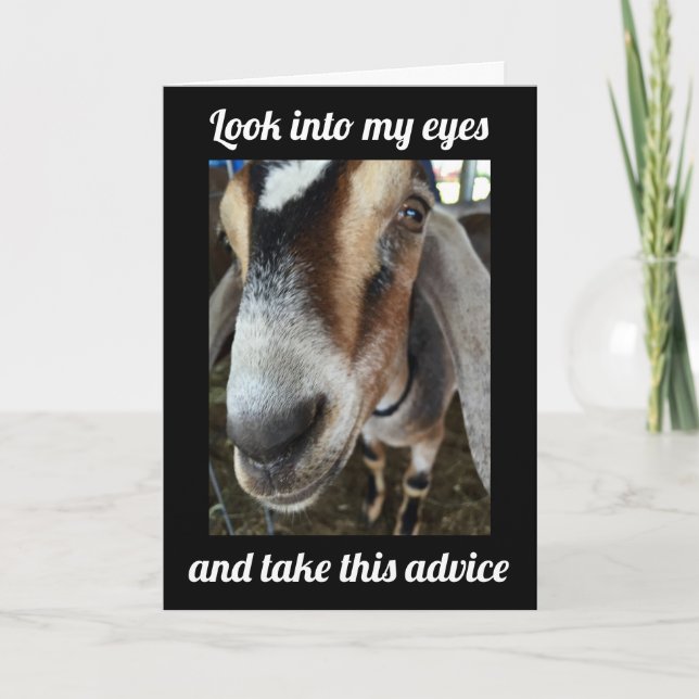 GOAT SAYS "GO OUT AND CELEBRATE **50th** BIRTHDAY Card (Front)