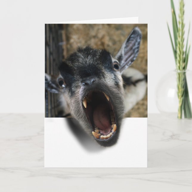 Goat Screaming to Get Out Card (Front)