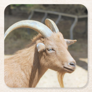 Goat Square Paper Coaster
