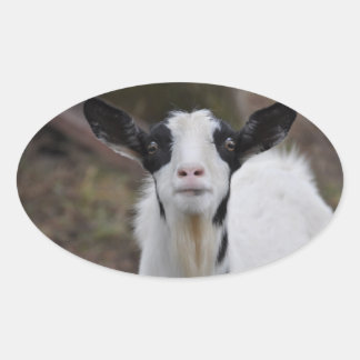 Goat Sticker