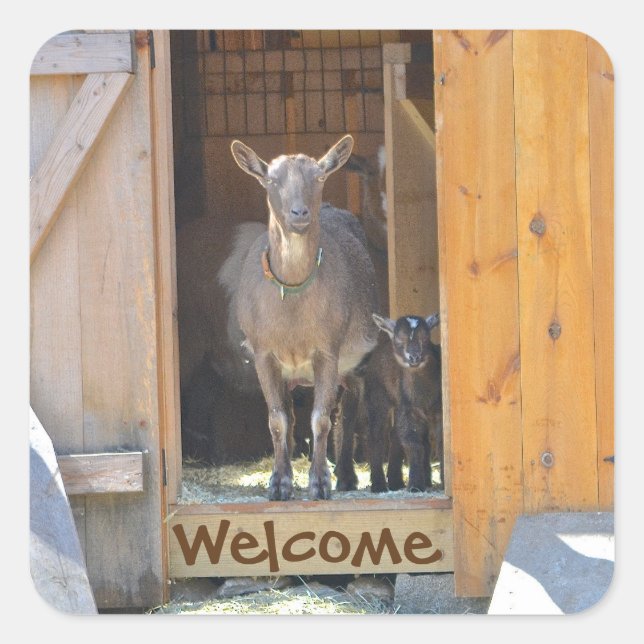 Goat Sticker (Front)