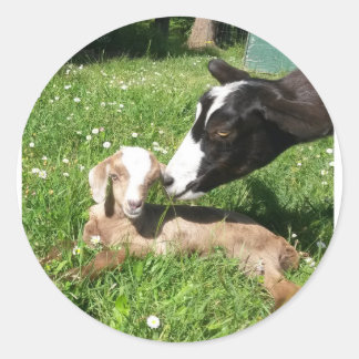 Goat Stickers set of 6