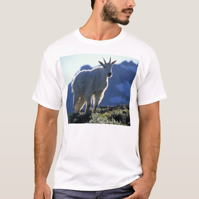 Goat T-Shirt (Front)