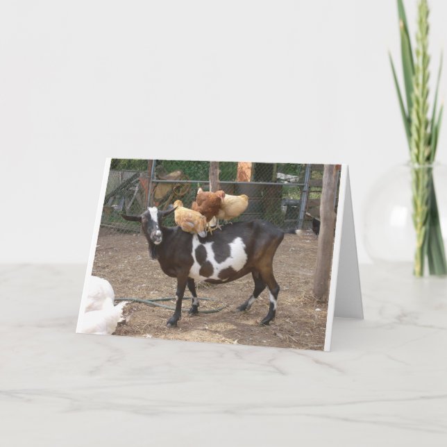 Goat taxi card (Front)