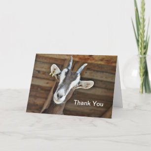 Goat Thank You Card
