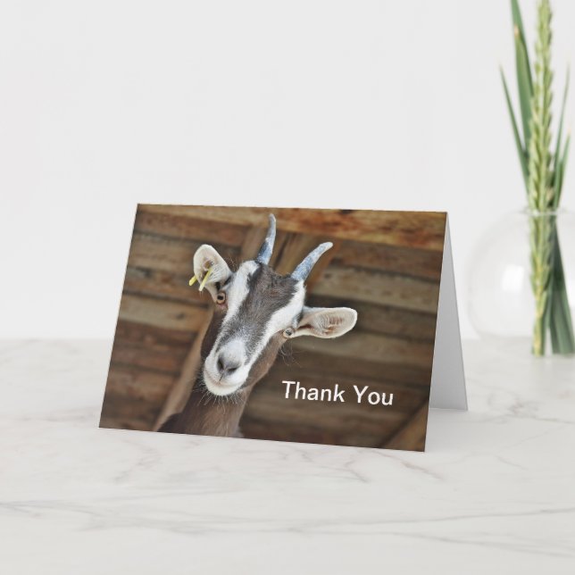 Goat Thank You Card (Front)