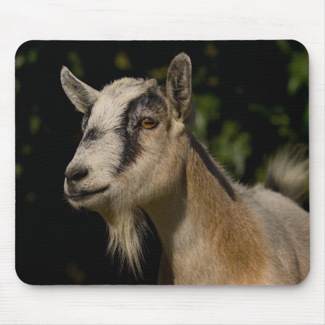 Goat Watching Mouse Pad (Front)