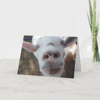 Goat Who Stared at Man Greeting Card