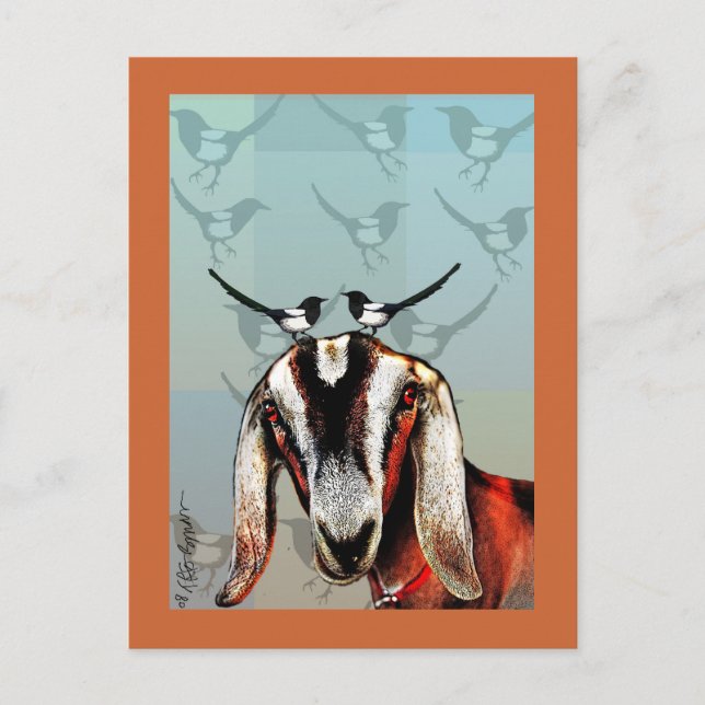 Goat with magpie fine art postcard (Front)