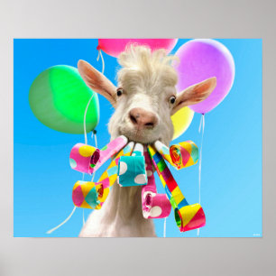 Goat with Party Blowers Poster
