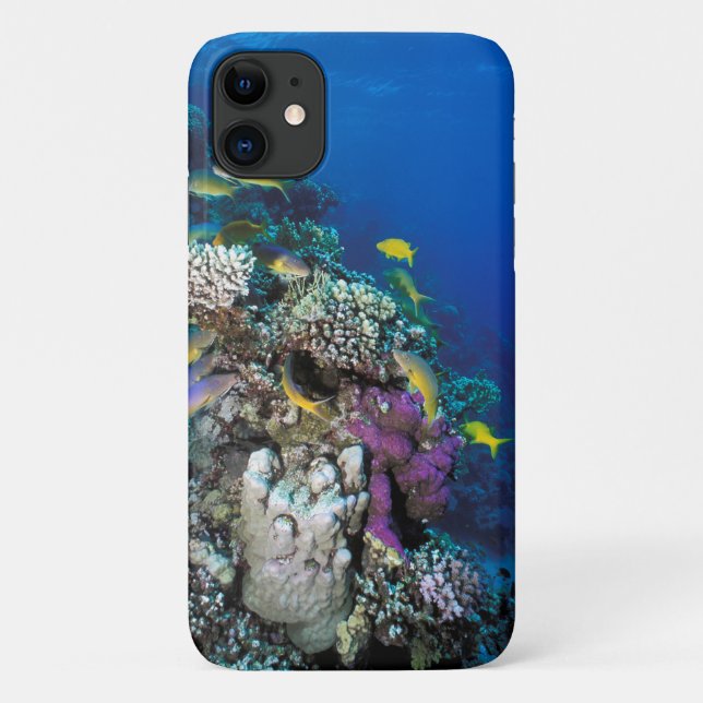 Goatfish Swarm Around Small Coral Case-Mate iPhone Case (Back)
