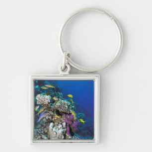 Goatfish Swarm Around Small Coral Key Ring