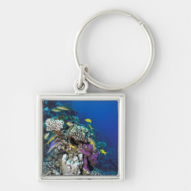 Goatfish Swarm Around Small Coral Key Ring (Front)