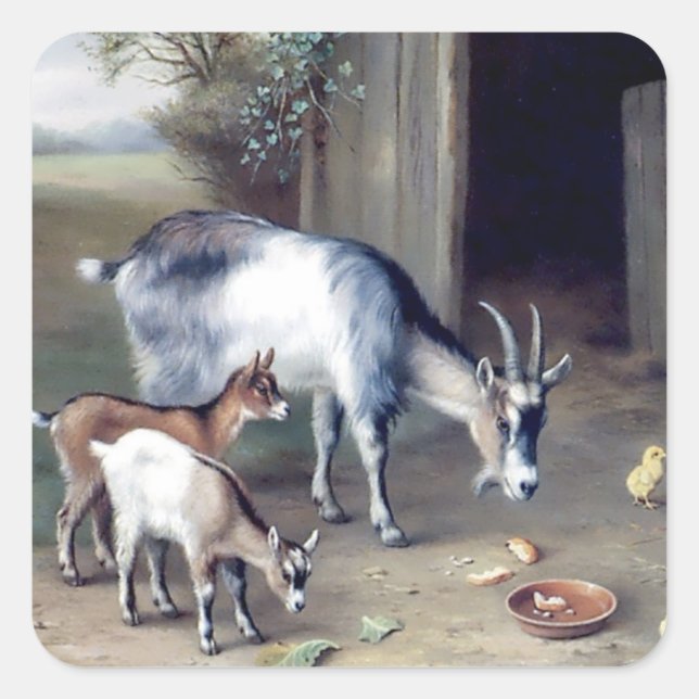 Goats and Chicken farm stickers (Front)