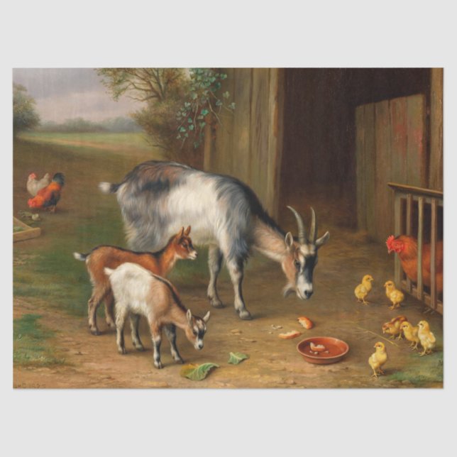 Goats And Chickens At The Farm Tissue Paper (Front)