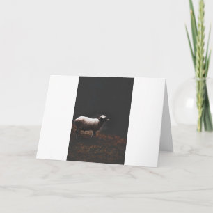Goats and Goats and Goats (54) Card