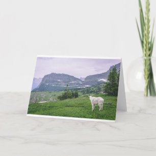 Goats and Goats and Goats (58) Card