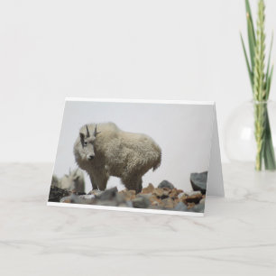 Goats and Goats and Goats (68) Card