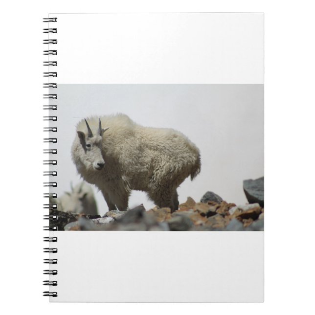 Goats and Goats and Goats (68) Notebook (Front)
