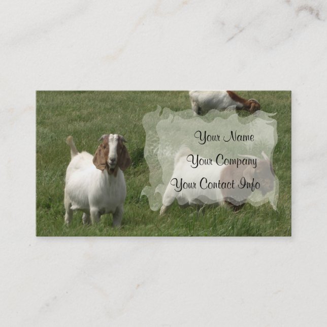 Goats Business Card Template (Front)