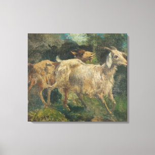 Goats (by Vincenzo Caprile) Canvas Print