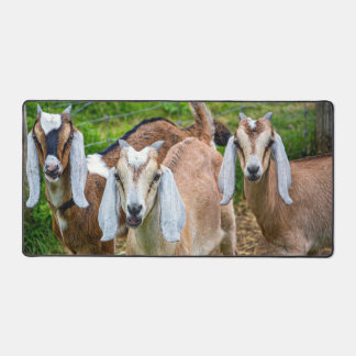 Goats desk mat