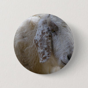 Goats face smiling! 6 cm round badge
