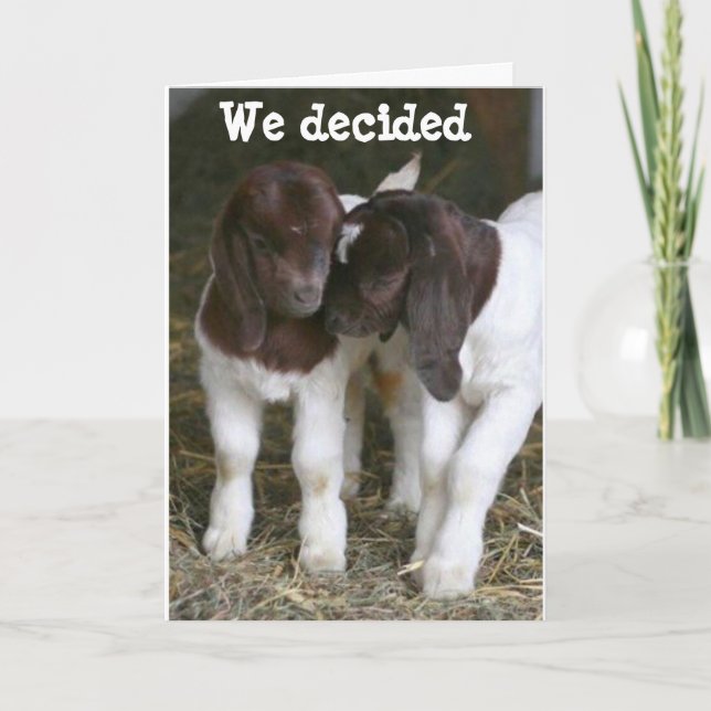 GOATS GET TOGETHER ON YOUR BIRTHDAY CARD (Front)