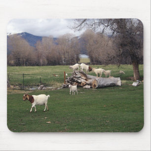 Goats On a Log Mouse Pad