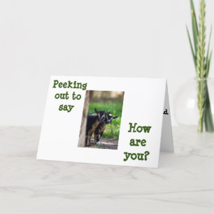 GOATS PEEK OUT TO SAY **HOW ARE YOU?*** CARD