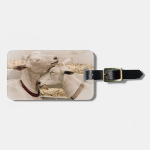 Goats Snuggling Luggage Tag
