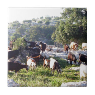 Goats Tile