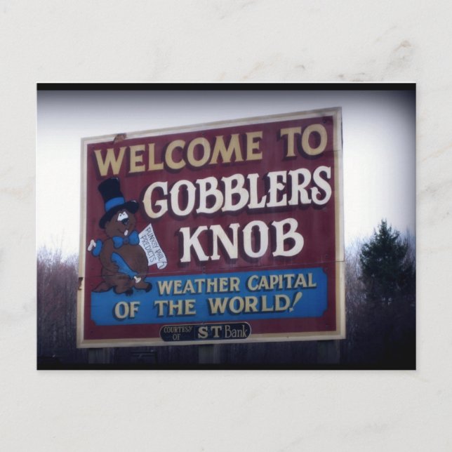Gobblers Knob Punxsutawney, Pennsylvania Postcard (Front)