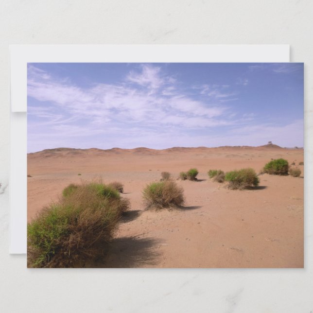 Gobi Desert View (Front)