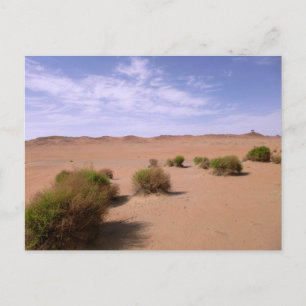 Gobi Desert View Postcard