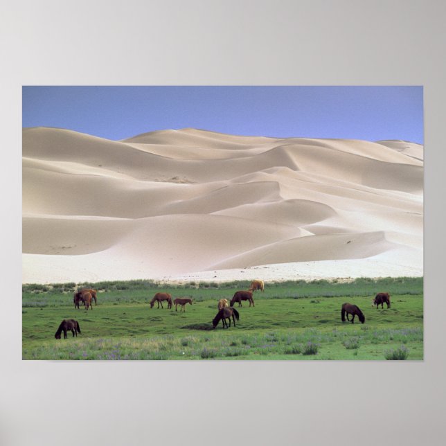 Gobi Desert | Wild Horses Poster (Front)