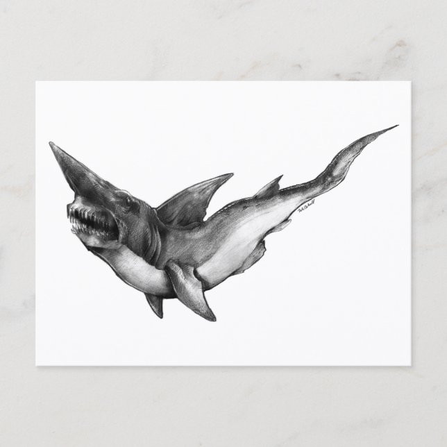 Goblin Shark - Postcard (Front)