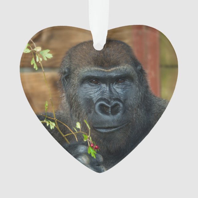 GoBros  Ornament (Front)