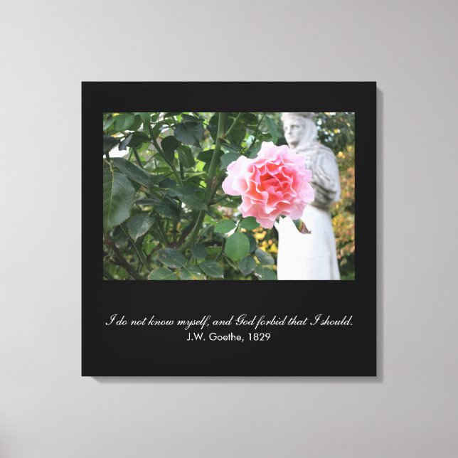 God forbid that I should know myself- Goethe quote Canvas Print (Front)